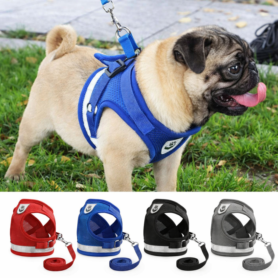 Peitoral e Guia para Cachorro Coleira Caes E Gatos Colete Regulavel Confortavel para Pet Pequeno