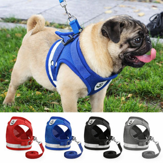 Peitoral e Guia para Cachorro Coleira Caes E Gatos Colete Regulavel Confortavel para Pet …