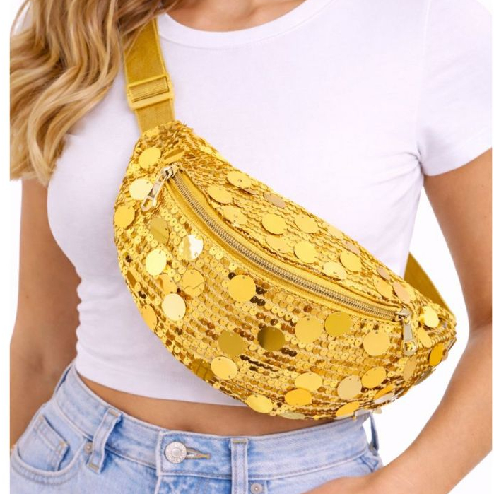 Pochete de Paetê Lantejoulas Bolsa com 2 Divisarias Brilho Carnaval Bloco Show Festival em Oferta na Shopee