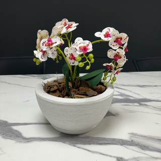 Vaso para Plantas Bacia PP em Polietileno Texturizado Grafiato Jardim em Oferta na Shopee