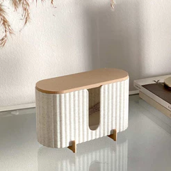 Organizador com Tampa Minimalista | Caixa Organizadora Moderna | Porta absorvente