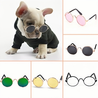 Óculos Pet Cachorro Gato Diversas Cores em Oferta na Shopee