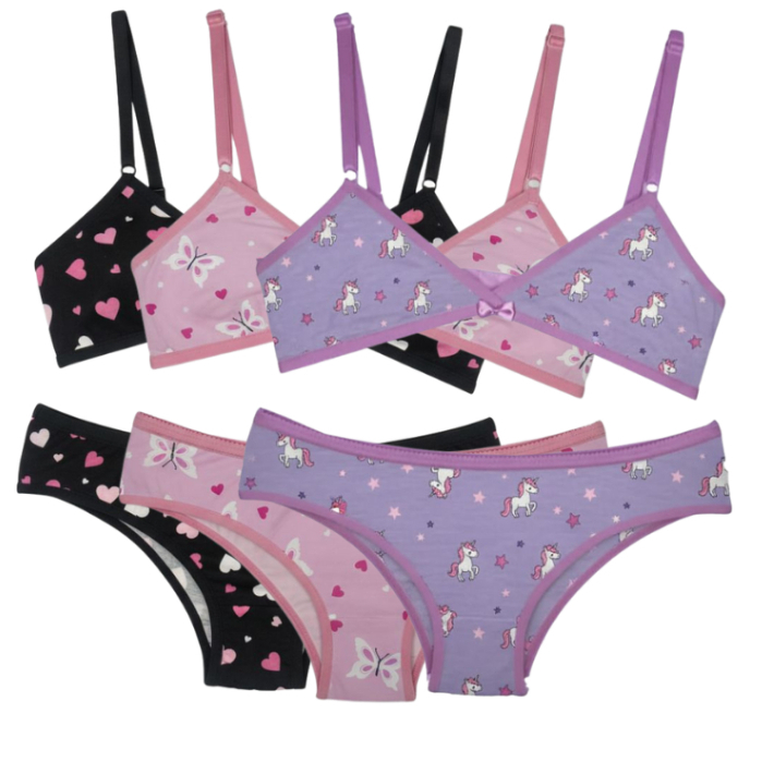 Kit 3 Conjuntos Infantil Menina Moça sem bojo Juvenil/Calcinha e Sutiã barato promoção Estampado