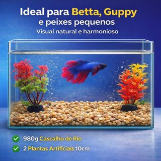 Kit Decoração Aquário 980 Gramas  Cascalho de Rio + 2 Plantas Artificiais 10cm em Oferta na Shopee
