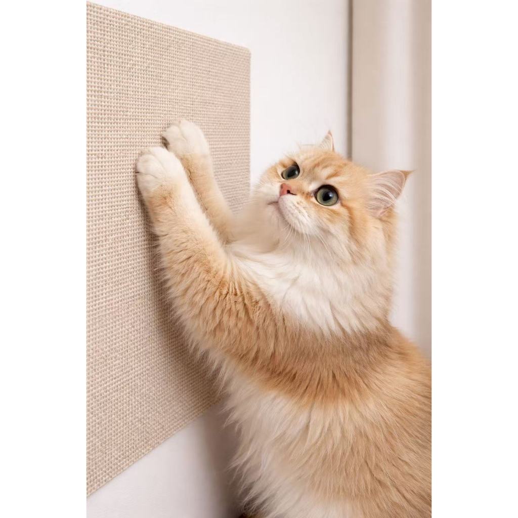 Carpete Adesivo Premium para Gatos – Arranhador Protetor de Sofá, Cama Box e Móveis | Alta Durabilidade em Oferta na Shopee