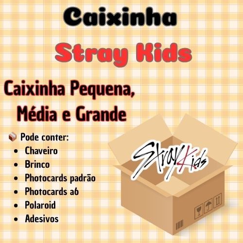 CAIXINHA – Stray Kids –Tamanho P, M e G - Photocards, Chaveiro, Brinco | K-pop Fanmade em Oferta na Shopee
