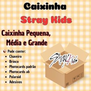 CAIXINHA – Stray Kids –Tamanho P, M e G - Photocards, Chaveiro, Brinco | K-pop Fanmade em Oferta na Shopee