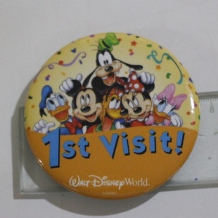 Walt Disney World Botom 1 St Visit Azul Pateta Pluto mickey minnie cerpentina