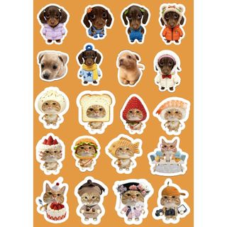 Kit 20 Adesivos Cães e Gatos Engraçados –Impressos em Papel Adesivo para Journal, Aesthetic e Scrapbook