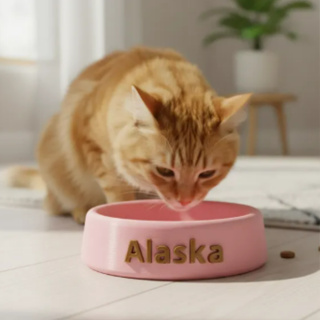 Pote de ração pet personalizado com nome - 200ml a 400ml - Várias Cores - Resistente premium em Oferta na Shopee