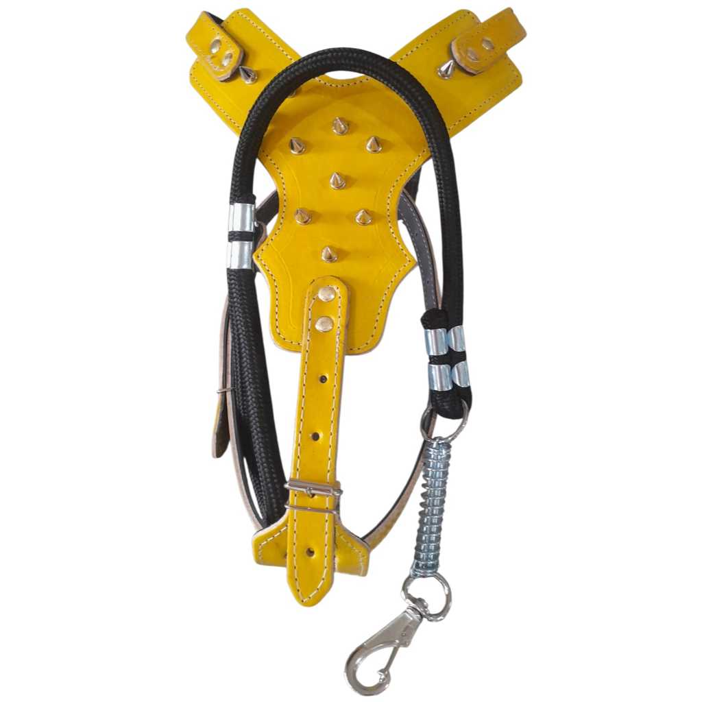 Kit Peitoral Spike Luxo Couro + Focinheira Pitbull com Spike E Guia de corda com amortecedor