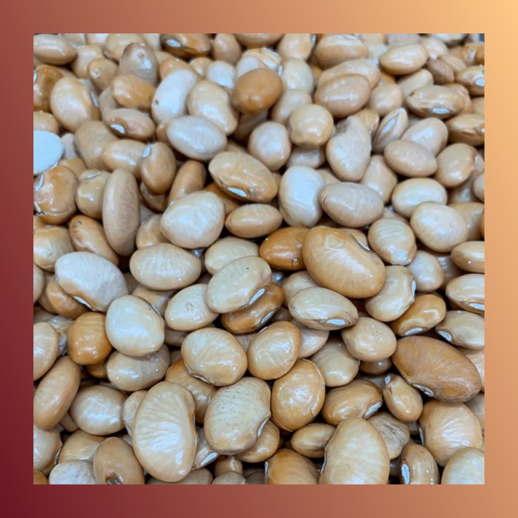 Fava Manteiga Tradicional Do Nordeste em Oferta na Shopee