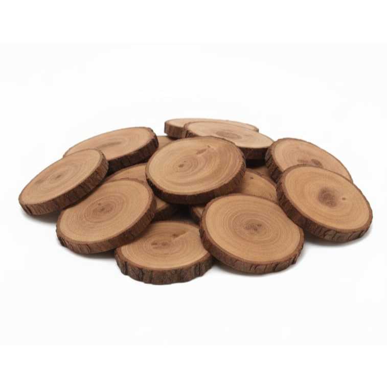 Kit 6 tronco Madeira Bolacha Rústico Artesenal 8 a 10cm Enfeite