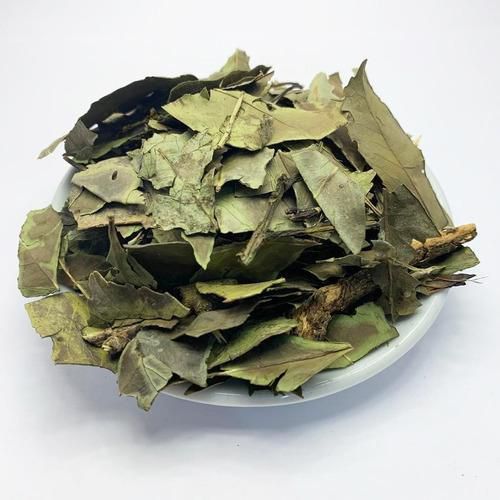 Chá Verde Camellia Sinensis Importado Premium