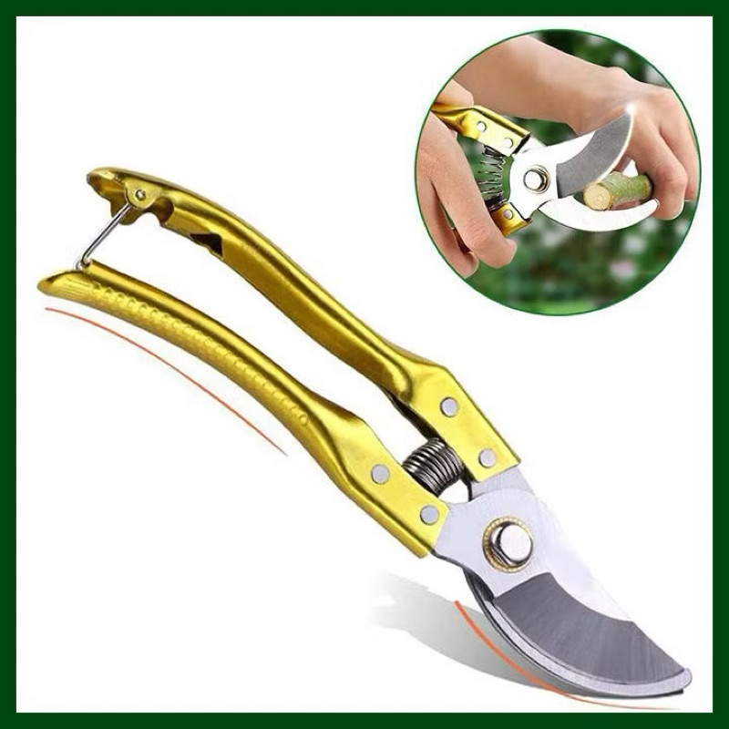 Tesoura de Poda para picotar Grande de 8 polegadas Super Resistente com mola Profissional Promoção