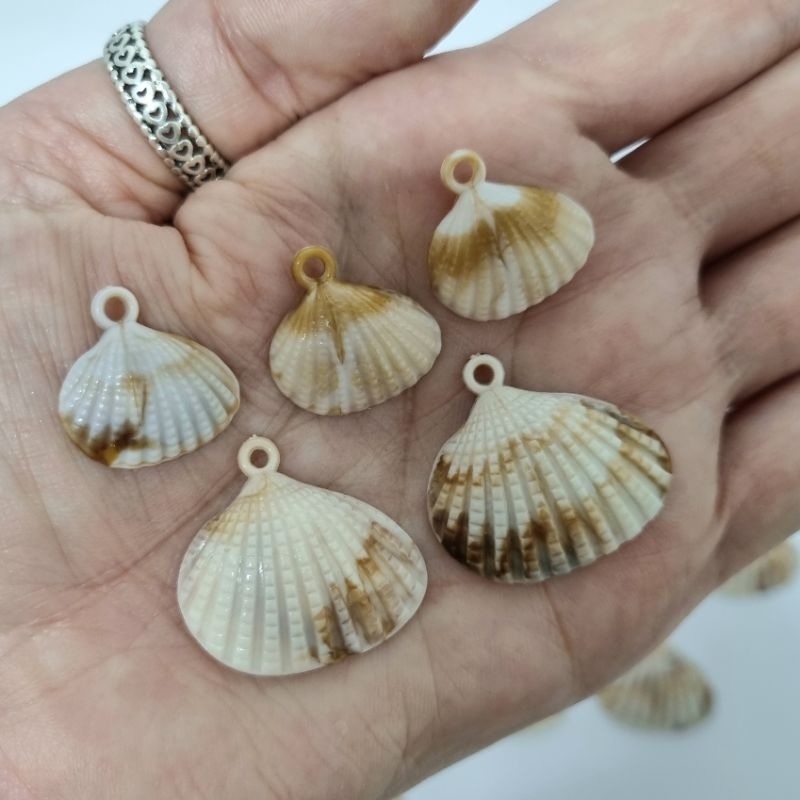 Concha do Mar Pingente 20 peças M/G -Praia Mar Bordado Piscina Bordado Artesanato Bijuteria em Oferta na Shopee