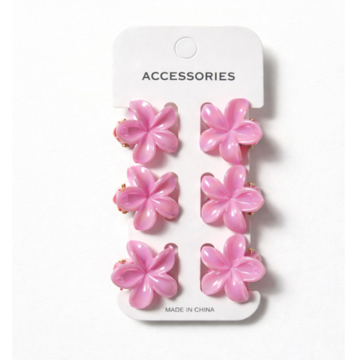 KIT 6 MINI PIRANHA PEQUENININHA INFANTIL CORES IGUAIS | FESTA DAS CORES | PRESILHA FLOR BRILHANTE