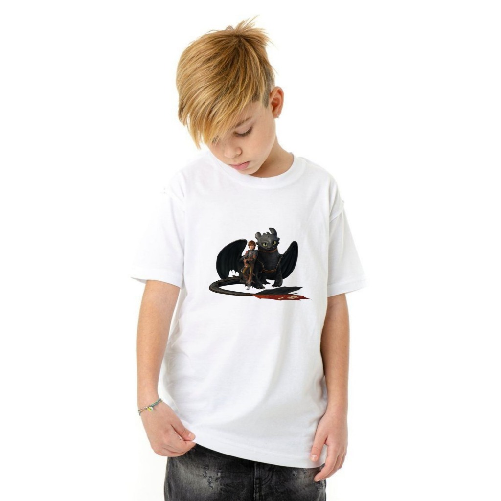CAMISETA infantil, COMO TREINAR SEU DRAGÃO, moda infantil, filmes, desenho animados, blusas personalizadas, aniversário
