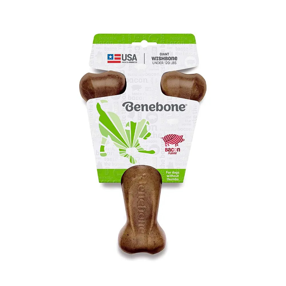 Brinquedo Mordedor Cães Importado Benebone Wishbone