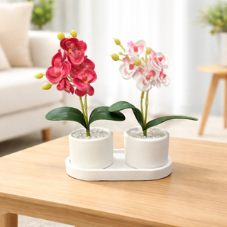 Kit 2 Vasos e Orquídeas Artificias com Bandeja Branco para Sala, Escritório, Casa, Apartamento Decoração em Oferta na Shopee
