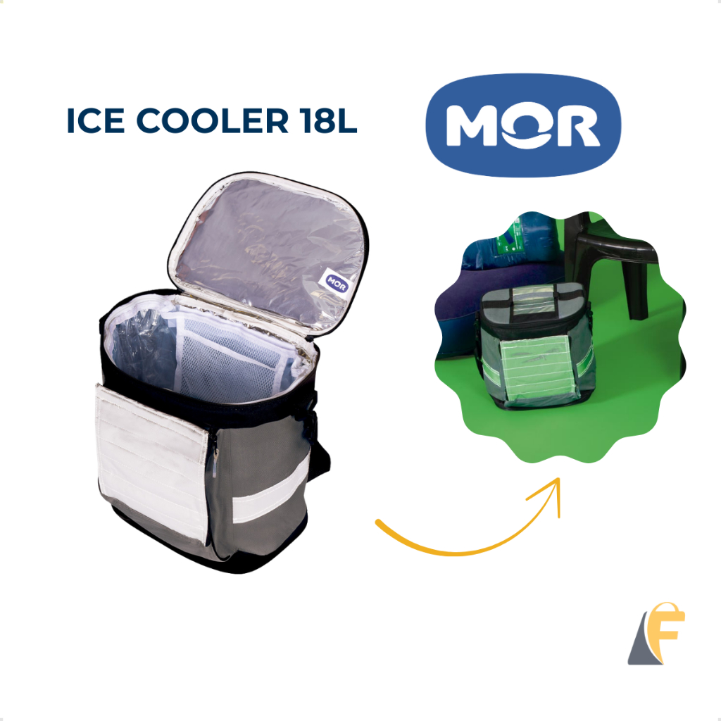 Cooler Bolsa Térmica Ice 18L Mor Cinza Conserva Bebidas e Alimentos