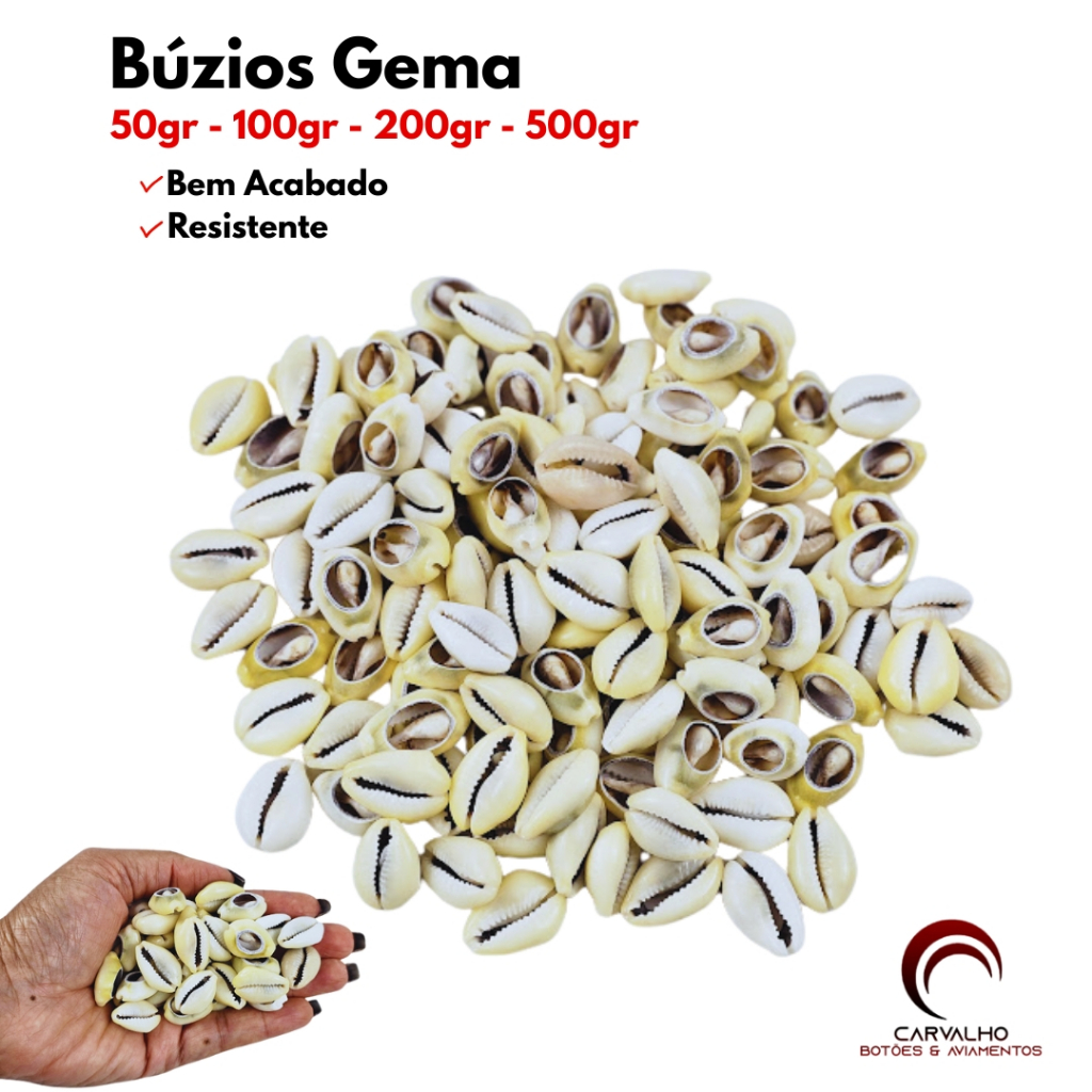Buzios Gema Natural Aberto Grande e Pequeno Buzios Natural Para Confecção Envio Rapido