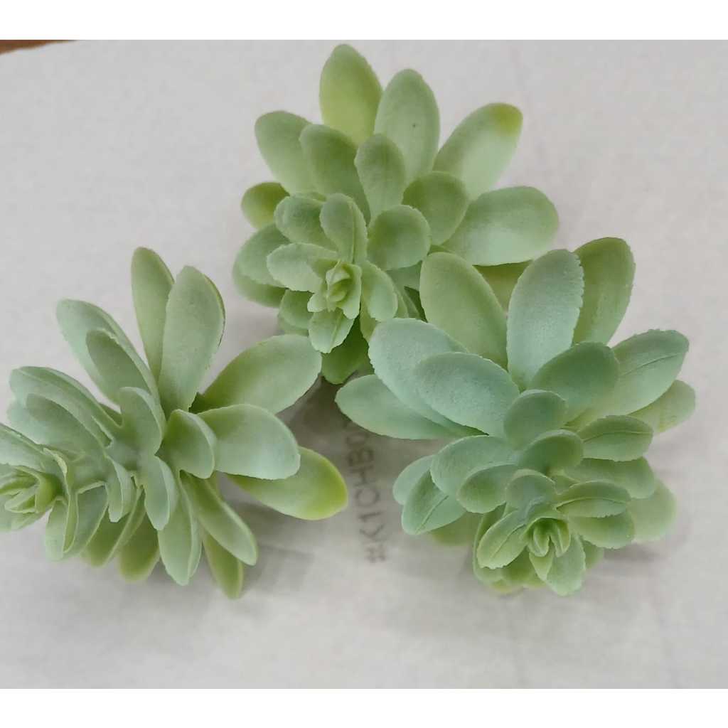 Suculenta Artificial  • Altura: 6 cm Mini  (cc6335)