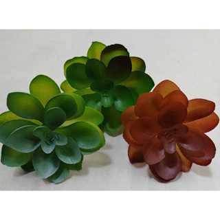 Suculenta Artificial  • Altura: 6 cm Mini  (cc6335)  e  (cc6337) em Oferta na Shopee