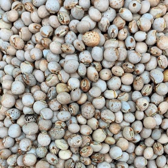 feijao andu  baiano1 kg em Oferta na Shopee