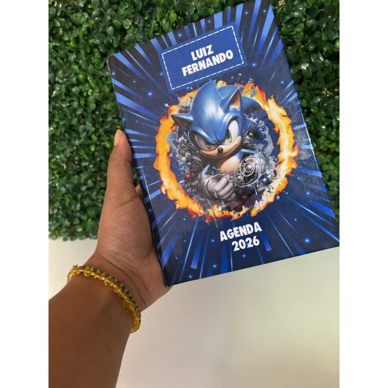 Cardeno Sonic - Brochurinha em Oferta na Shopee