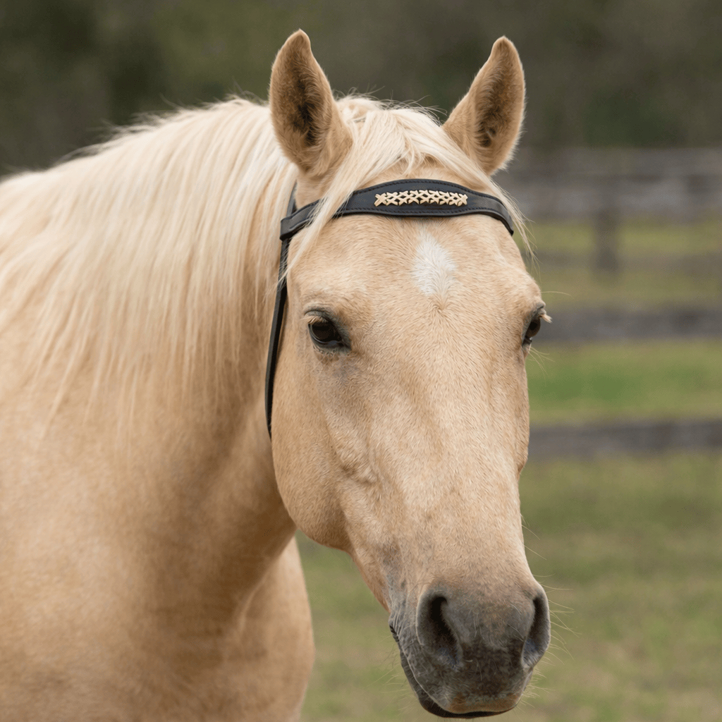 Cabeçada Goianinha De Couro Tratado Para Cavalo Trançada