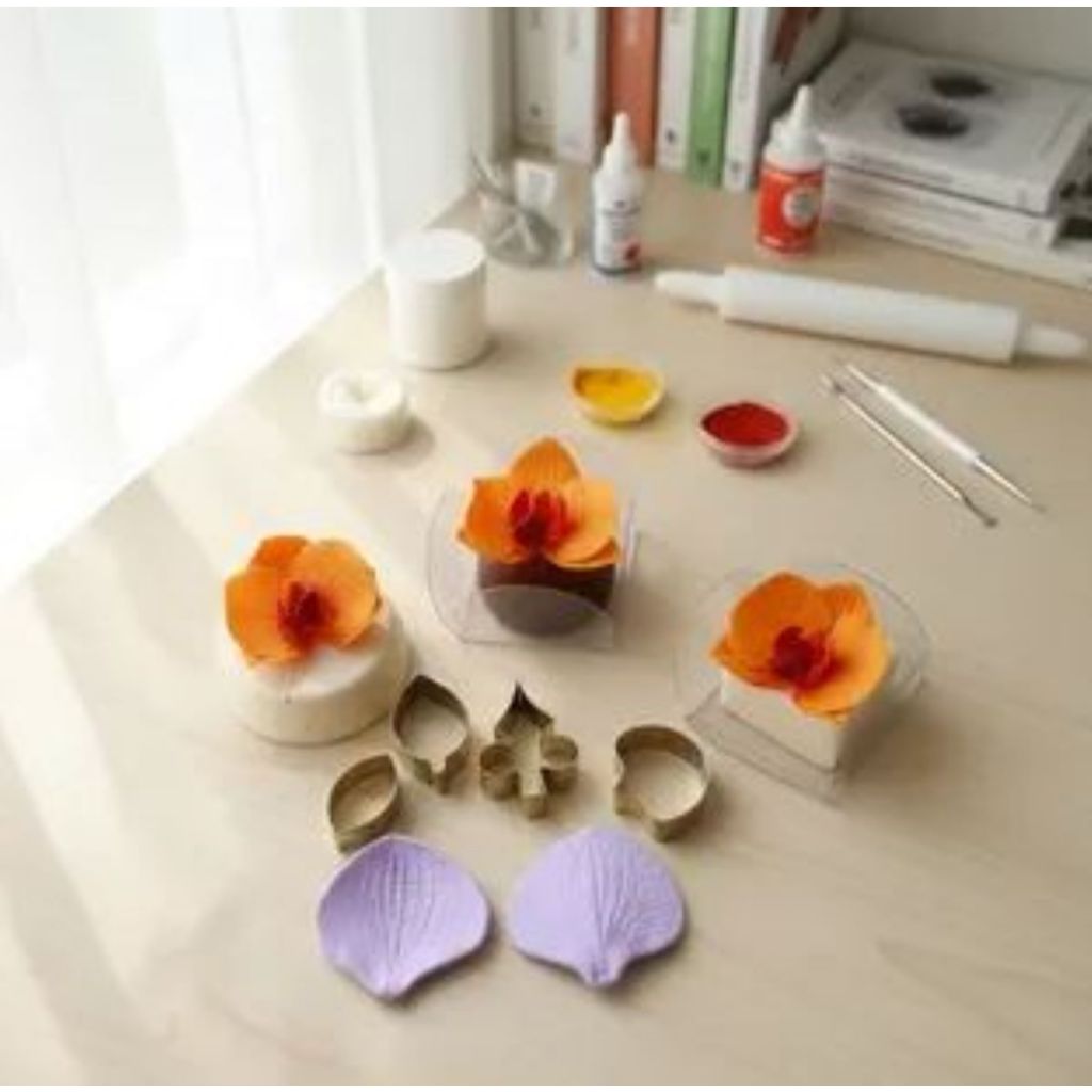 Mini kit frisador e cortador da orquídea phalaenopsis