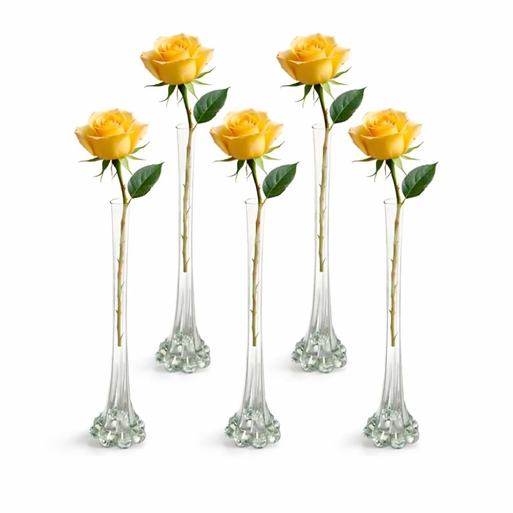 O que é Vaso Solitário? Guia e Onde Comprar | BuscaProdutos