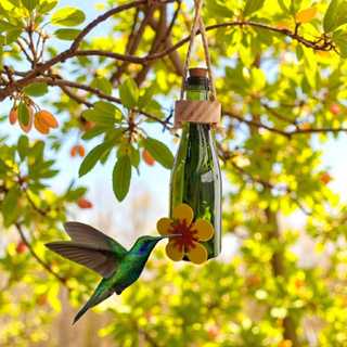 Bebedouro Beija Flor Garrafa Vidro Ecológico Decoração Jardim Alimentador Para Passaros Livres Aves em Oferta na Shopee