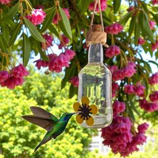 Bebedouro Para Beija Flor Passaros Livres Vidro Alimentador Aves Jardim Decorativo Artesanal Garrafa em Oferta na Shopee