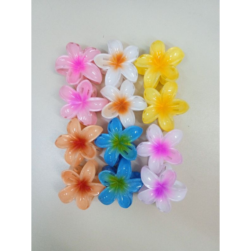 piranha flor kit com 12 unidades. em Oferta na Shopee