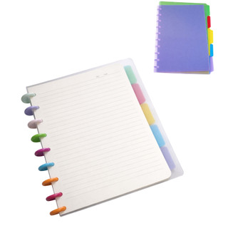 Caderno Inteligente 16x21x6cm 160 folhas na cor Off set Com 5 repartições Colorido Capa Transparente