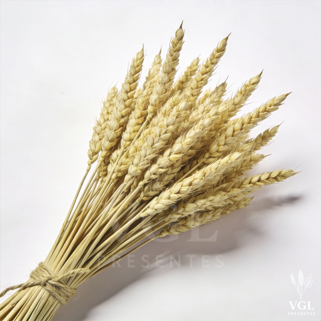 40 Hastes De Trigo Seco Natural Para Decoração Eventos Festas Casamento Arranjos Mesa Rústica