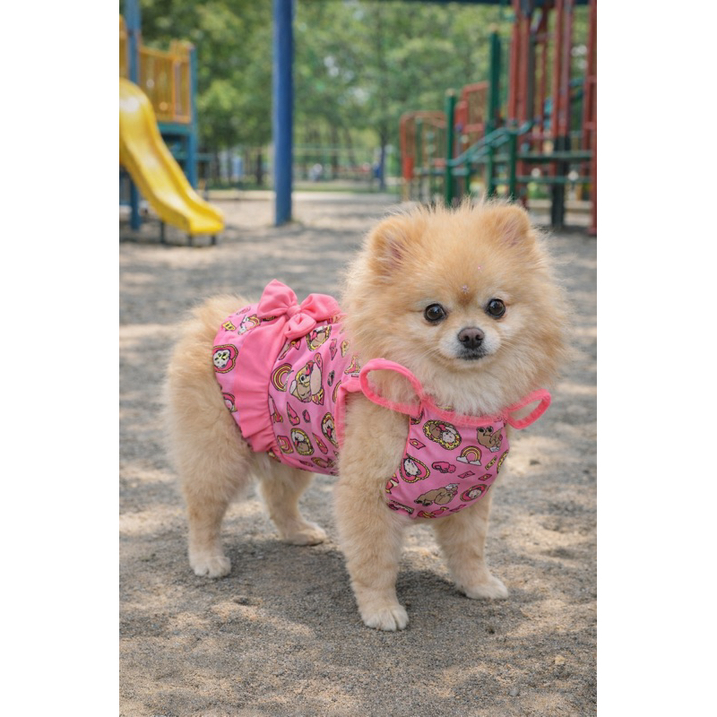 maiô moda praia, para pet ideal para banho,coleção nova verão para cães e gatos.