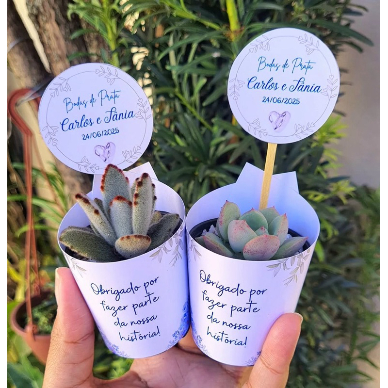 Rotulos Personalizados Para Suculentas Lembrancinhas Casamento Cha de Bebe Aniversário