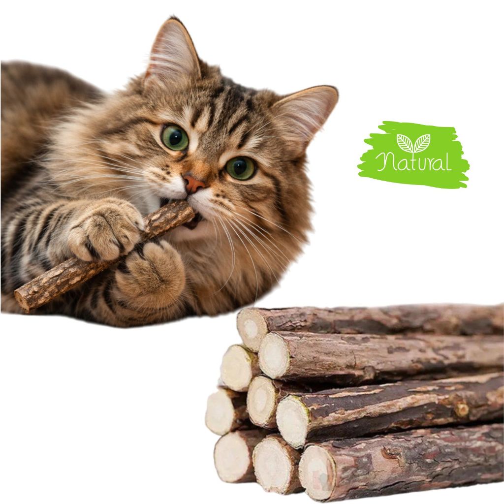 Vara Graveto Erva Do Gato Catnip Matatabi Limpa Deixa o Pet Feliz Brinquedo De Gato