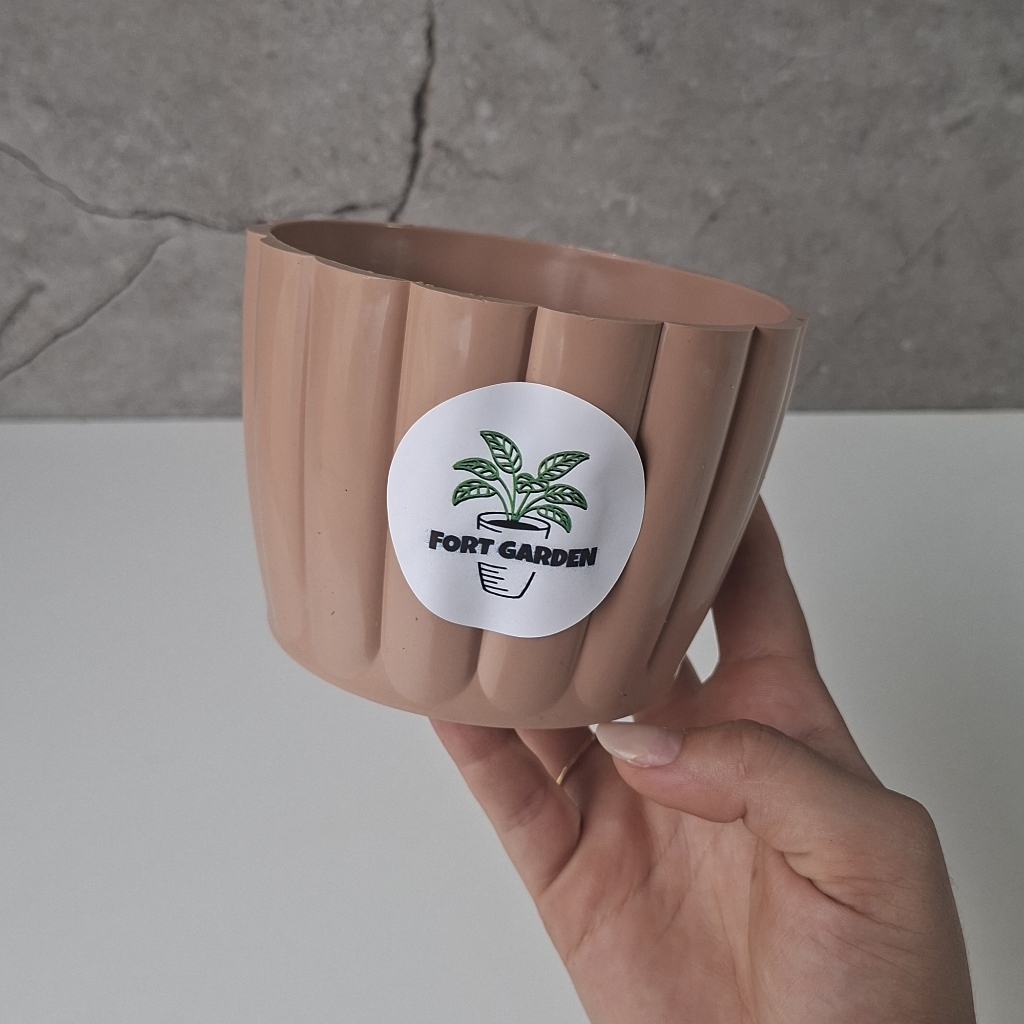 Cachepot Vaso Mini para Plantas Decorativo Pequeno 9x12 P 3D Moranga