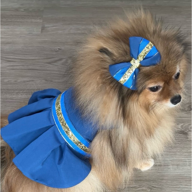 Vestido Pet | Vestido Pet Luxo | Vestido Pet Fêmea | Vestido Pet Princesa | Envio Imediato
