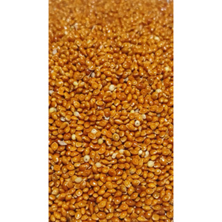 Painço Vermelho para Pássaros - 1k em Oferta na Shopee