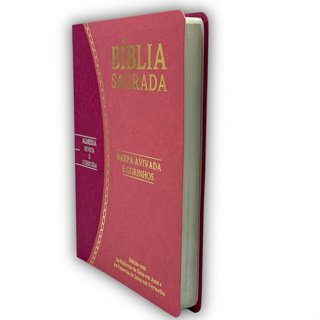 Bíblia Sagrada Slim Large Arc Pu Luxo Bicolor Letra Normal Com Espaço Para Anotações -  Rosa E Pink em Oferta na Shopee