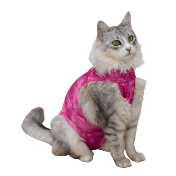 Roupa Protetora CASTRAÇÃO – Supreme Gatos - PETMED