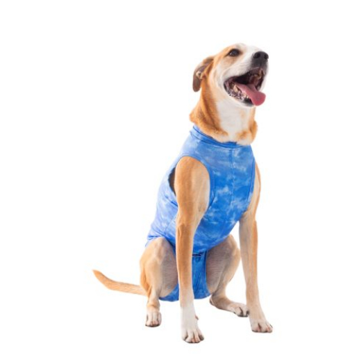 Roupa Protetora – Supreme Castração de Cães Machos