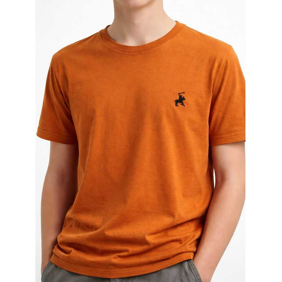 Camisetas Juvenil Masculinas de Malha super confortável Algodão Básicas Camisas Premium em Oferta na Shopee