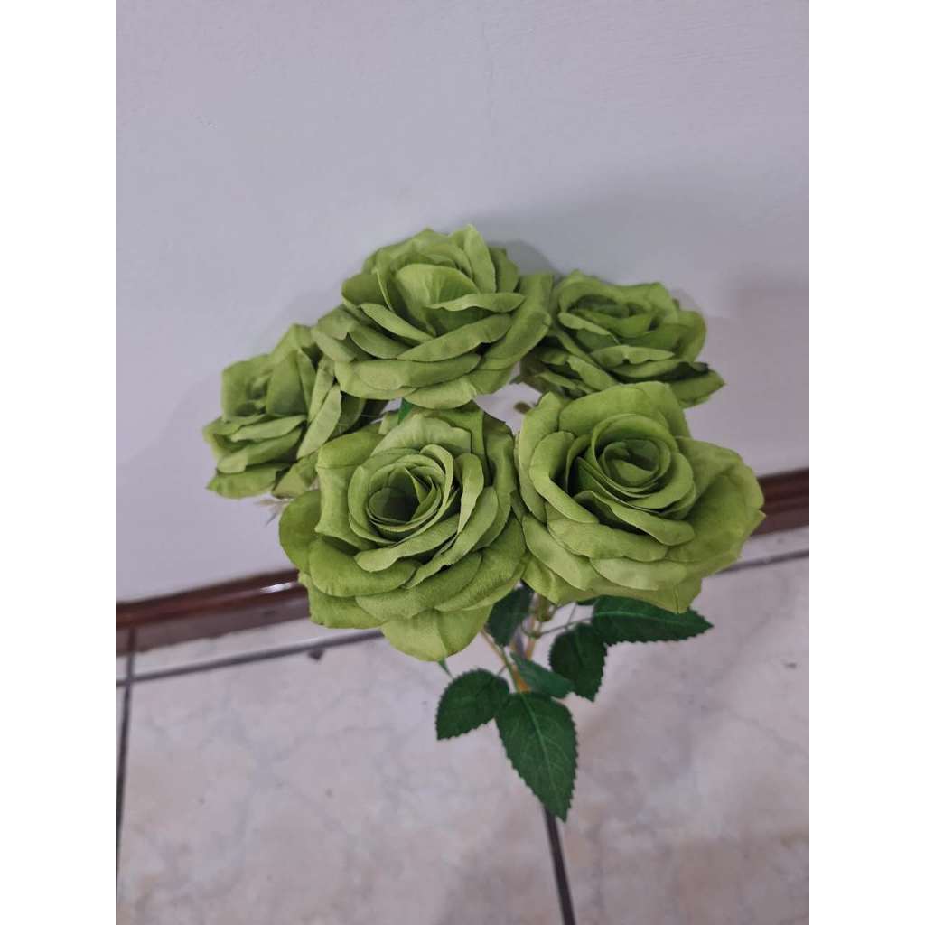 Rosa R93102
