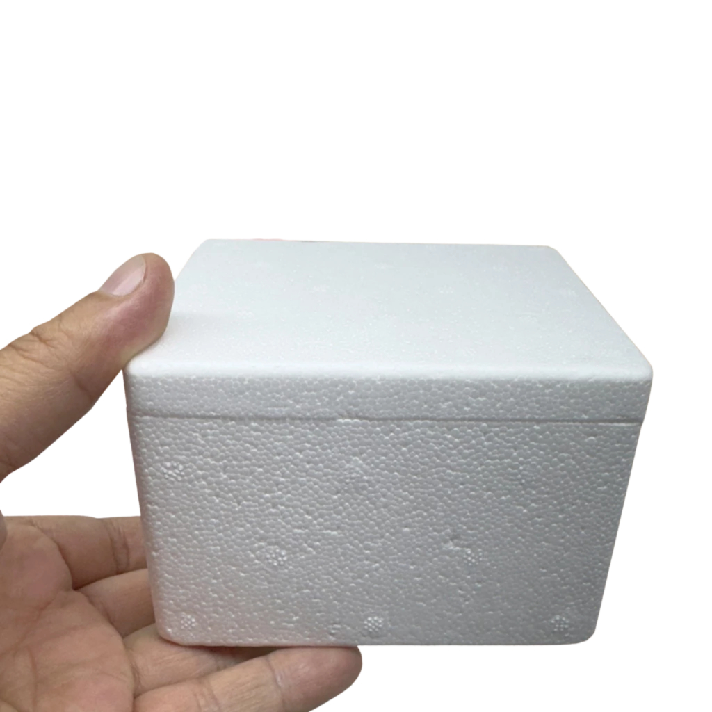 10 CAIXA DE EPS ( ISOPOR ) 250ML PEQUENA, IDEAL PARA MEDICAMENTOS, AMPOLA DE